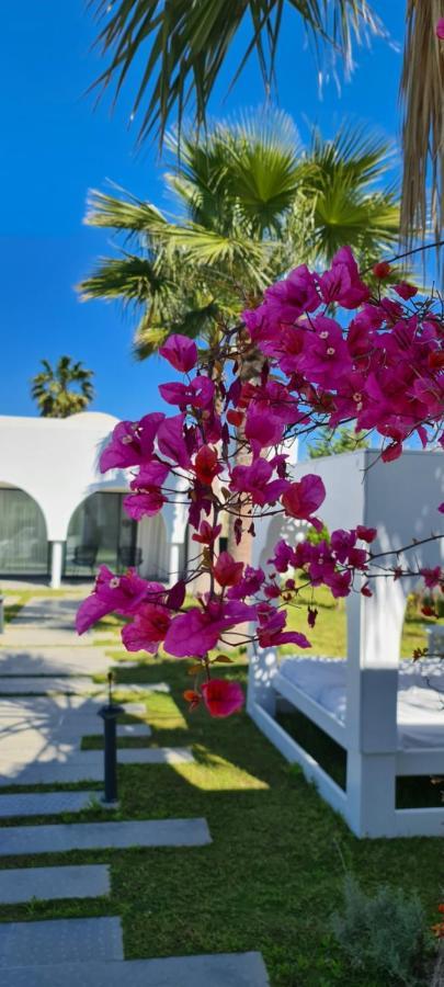 Maison - Dar Ouled Soltane Gammarth Ngoại thất bức ảnh